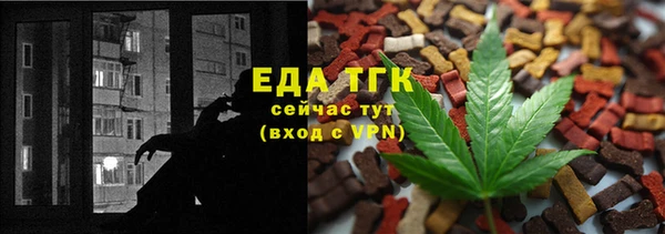 МДПВ Протвино