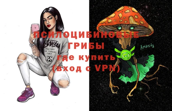 МДПВ Протвино