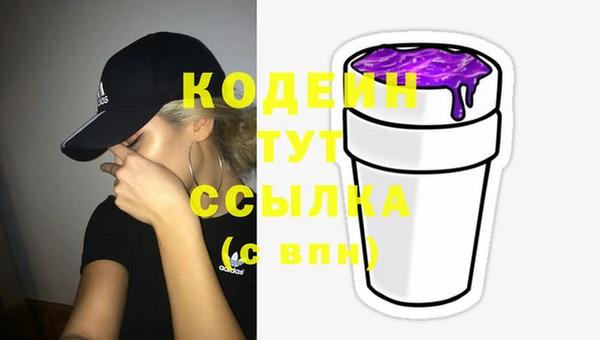 МДПВ Протвино