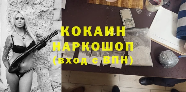МДПВ Протвино